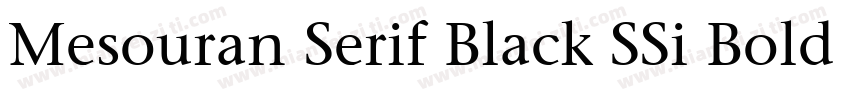 Mesouran Serif Black SSi Bold Italic字体转换